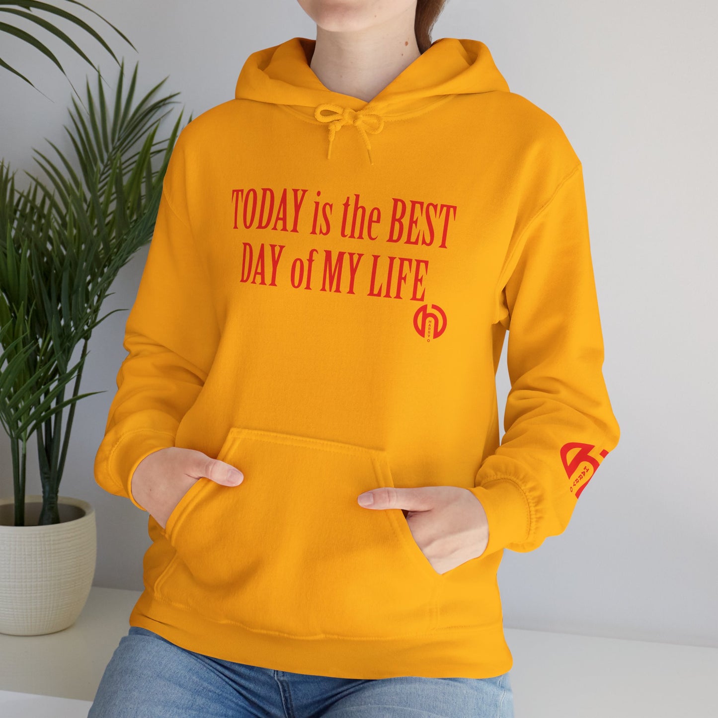 Today Is the Best Day of My Life Hooded Pullover Sweatshirt