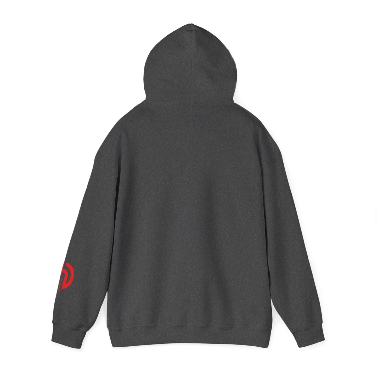 Today Is the Best Day of My Life Hooded Pullover Sweatshirt