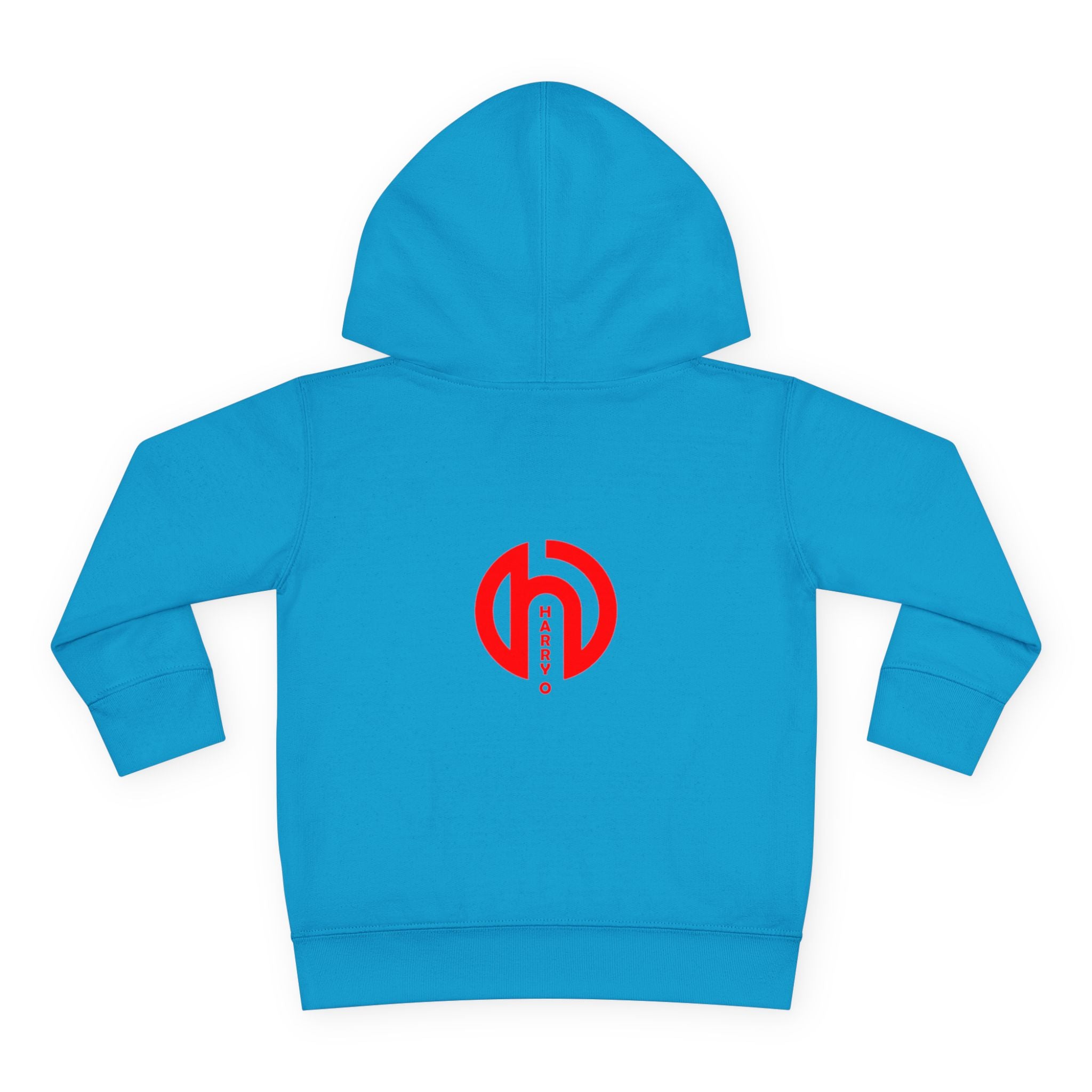 Toddlers' Hoodie - "TODAY is the BEST DAY of MY LIFE" Positive Fleece Pullover