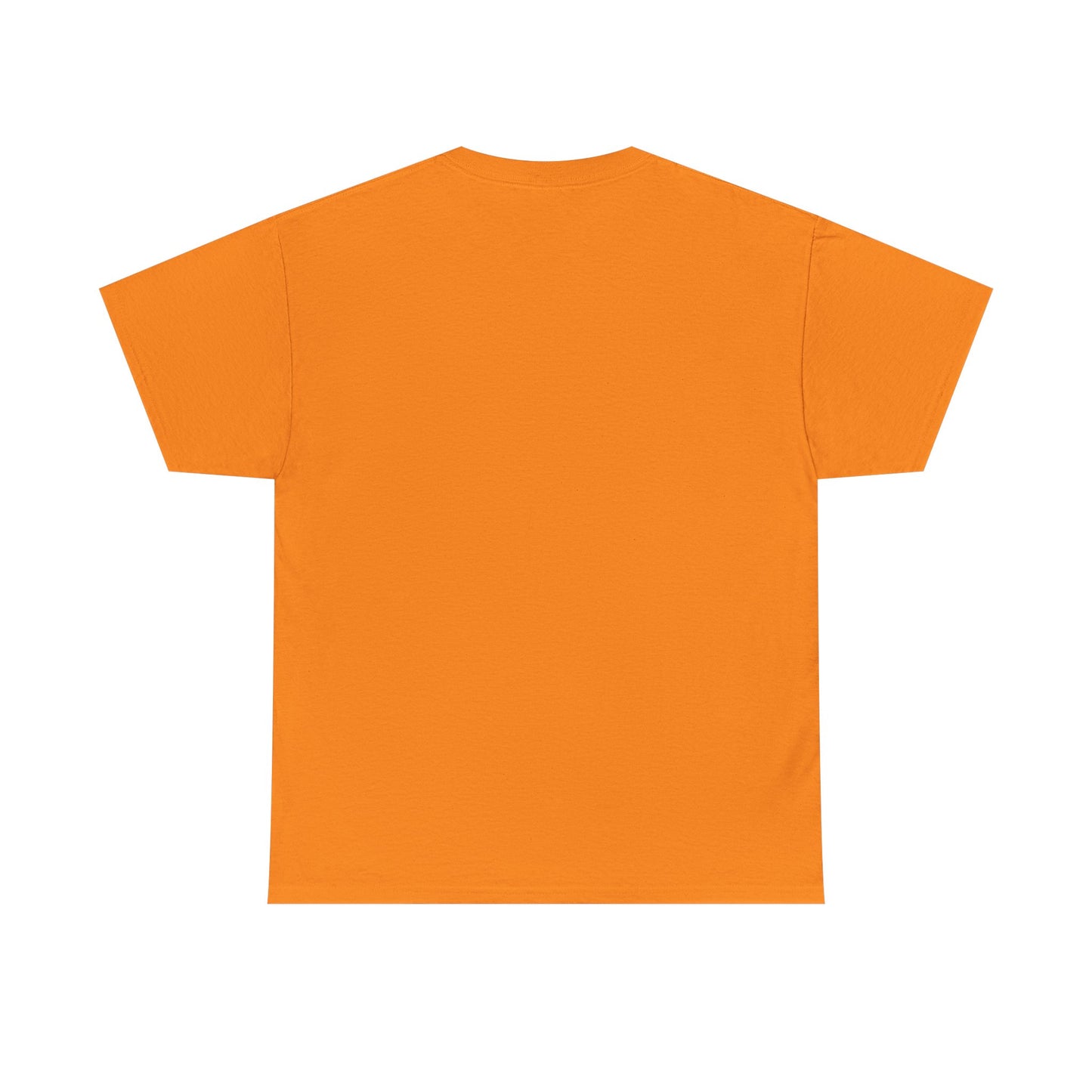 Today is the BEST DAY T-Shirt |