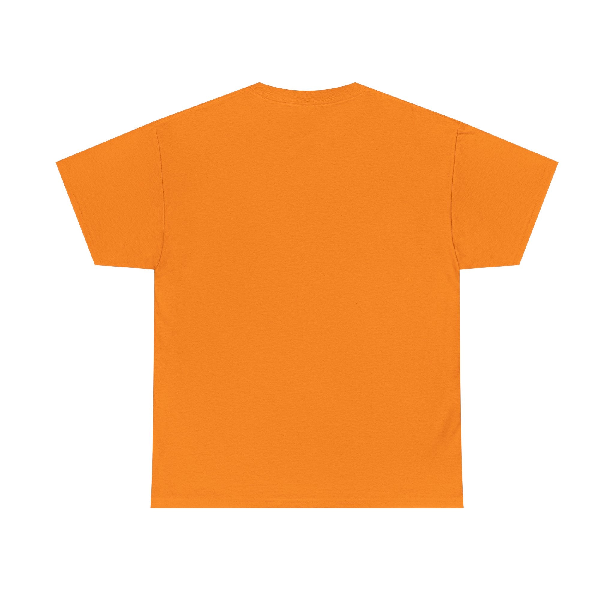 Today is the BEST DAY T-Shirt |