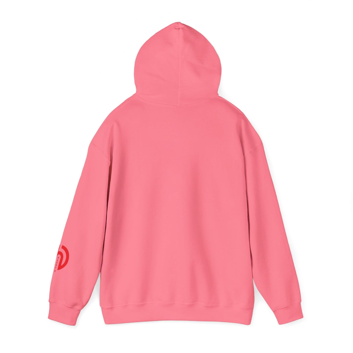 Today Is the Best Day of My Life Hooded Pullover Sweatshirt