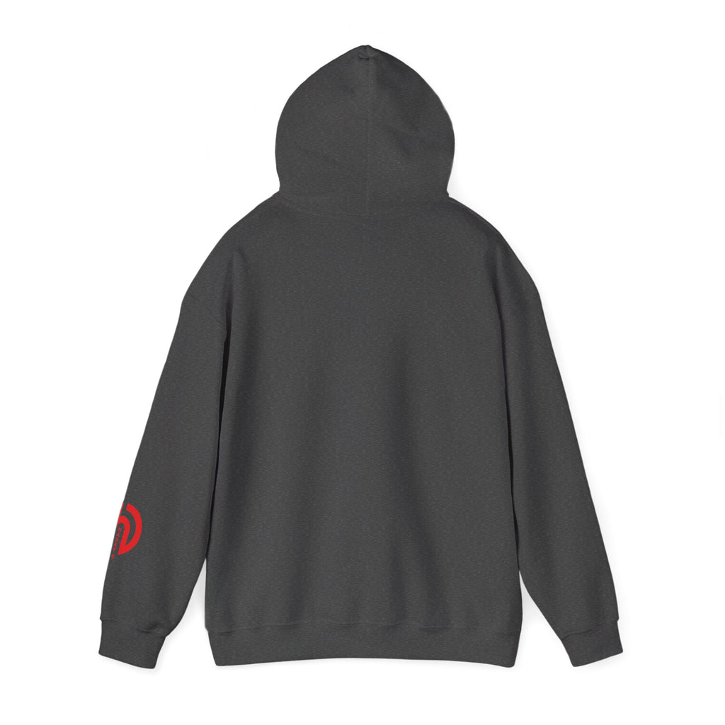 Today Is the Best Day of My Life Hooded Pullover Sweatshirt