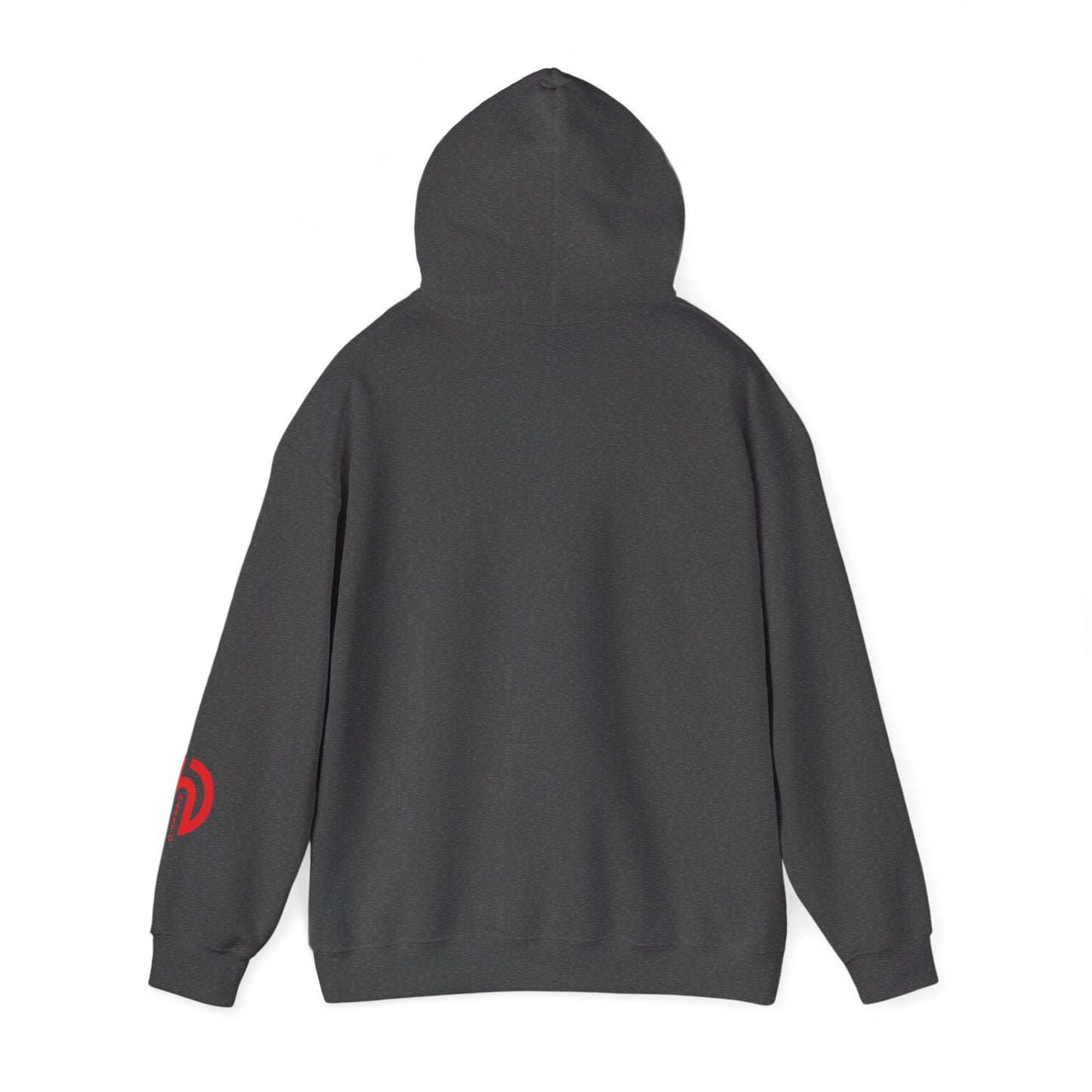 Today Is the Best Day of My Life Hooded Pullover Sweatshirt