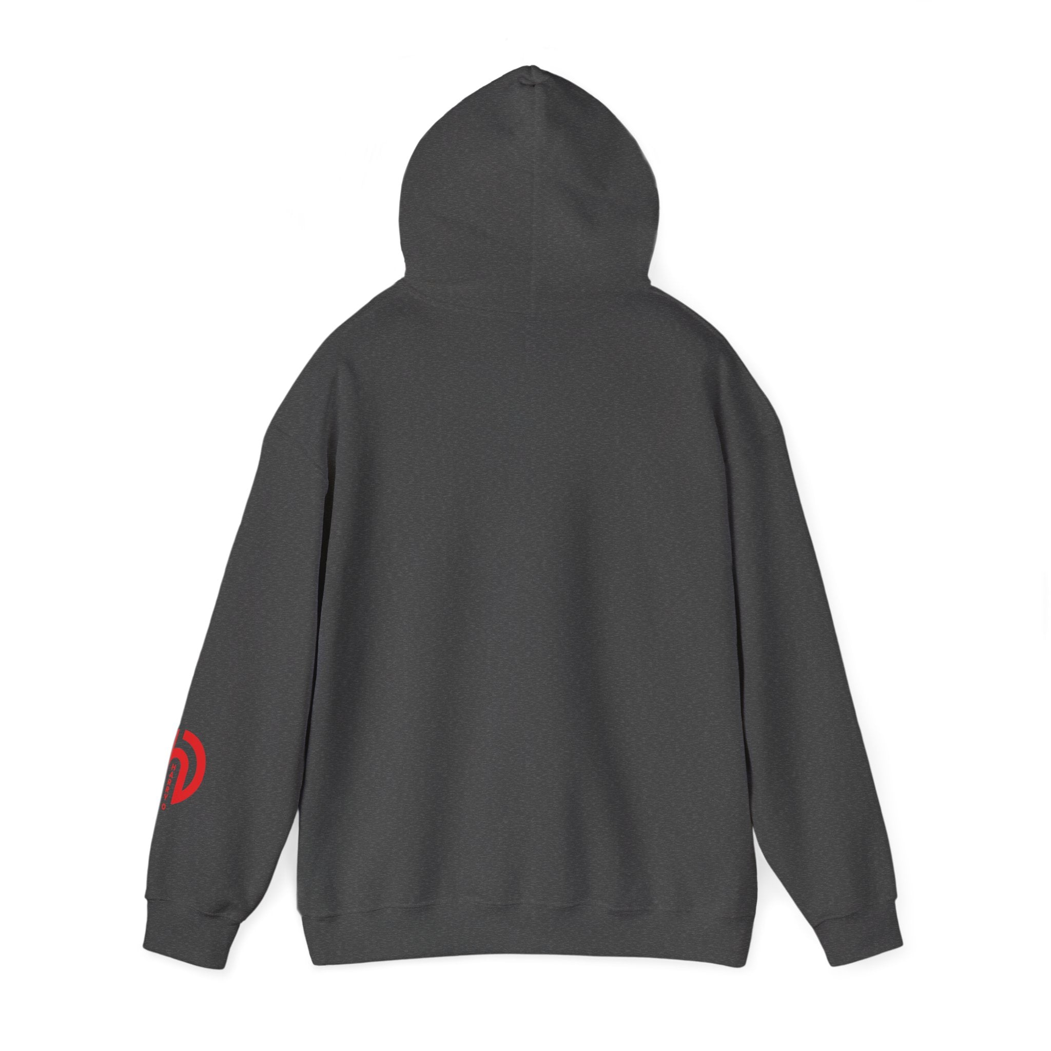 Today Is the Best Day of My Life Hooded Pullover Sweatshirt