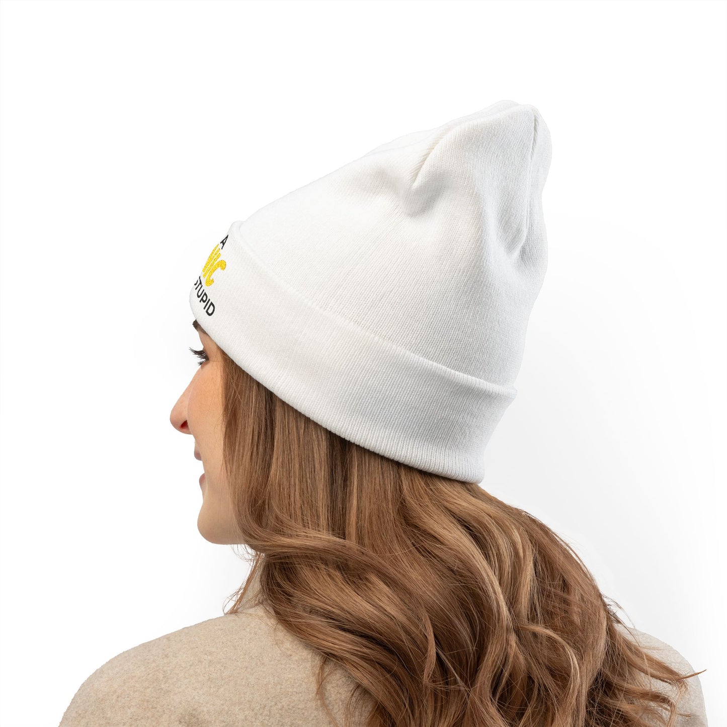 "I May Be A MECHANIC But I Can't Fix Stupid" Knit Hat