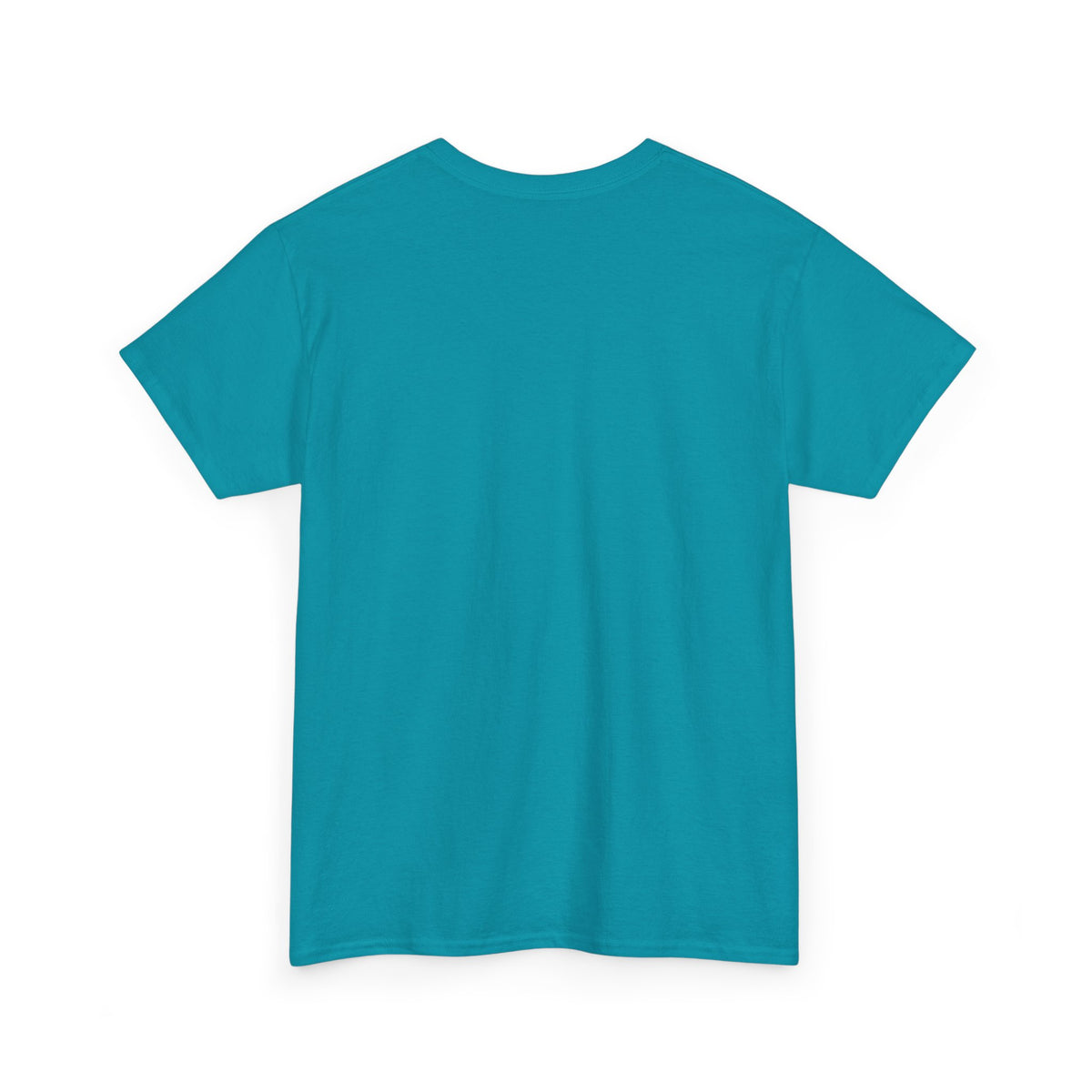 Today is the BEST DAY T-Shirt | II