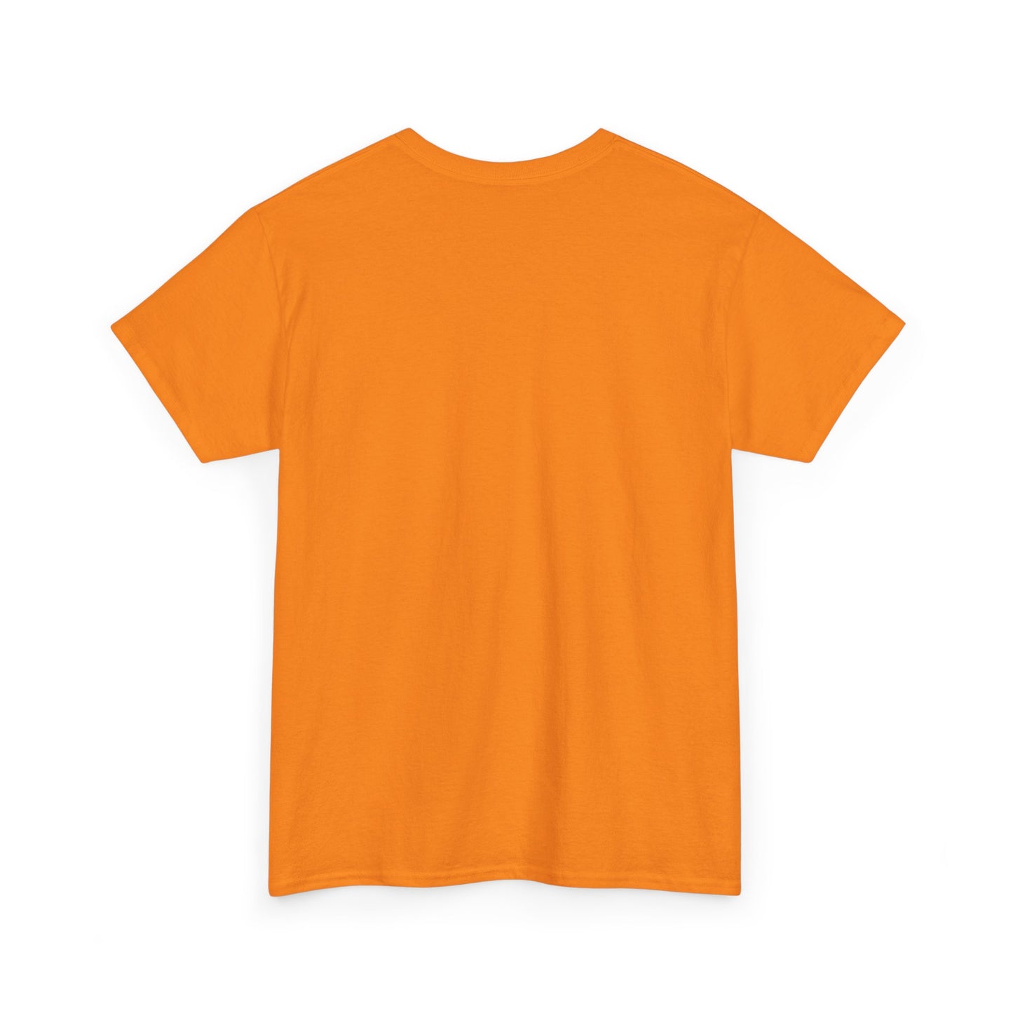 Today is the BEST DAY T-Shirt |