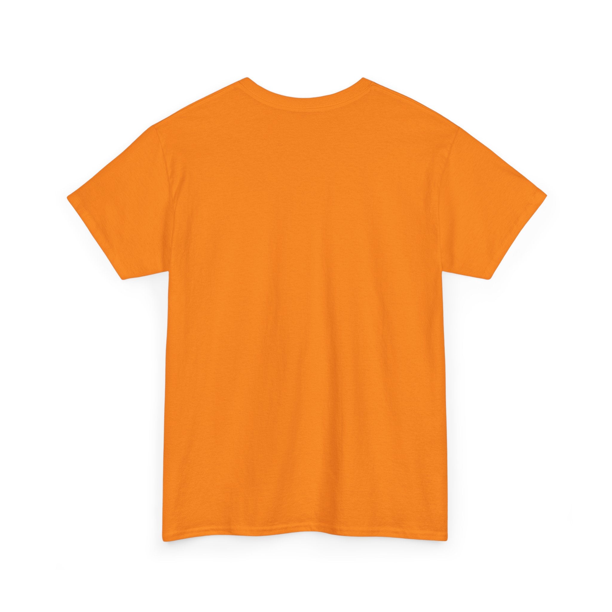 Today is the BEST DAY T-Shirt |