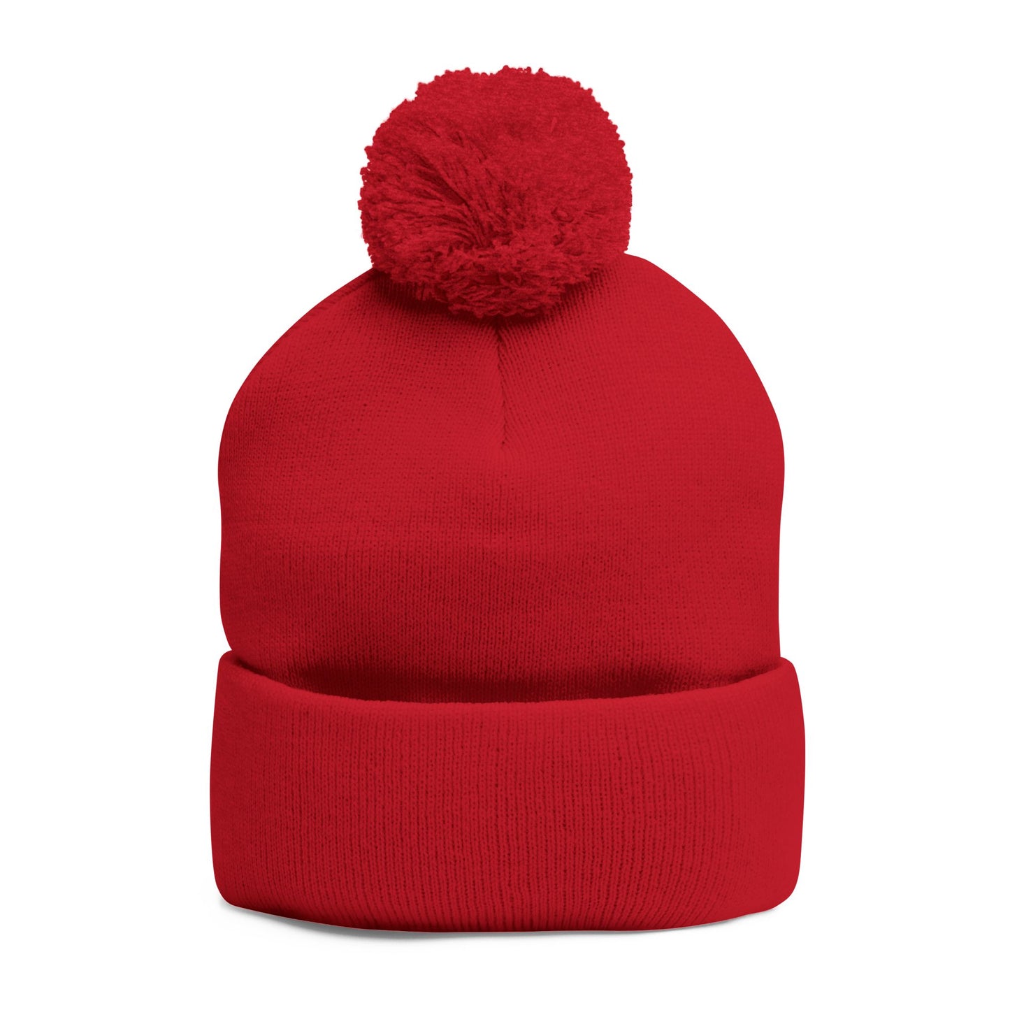 Today Is The Best Day Of My Life POM-POM KNIT Embroidered Beanie (WHITE EMBROIDERY)