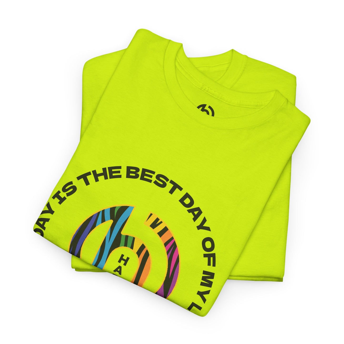 Today is the BEST DAY T-Shirt |