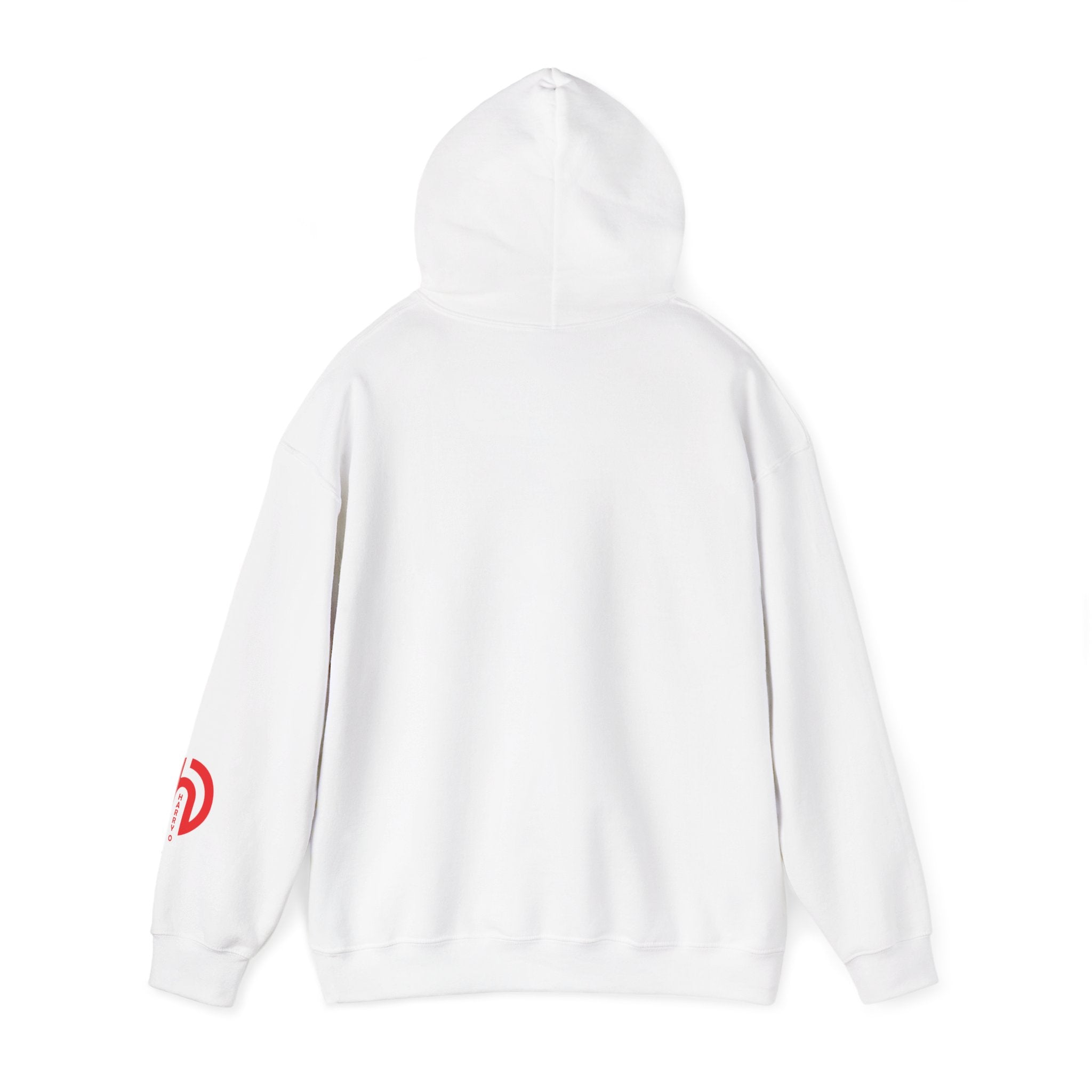 Today Is the Best Day of My Life Hooded Pullover Sweatshirt