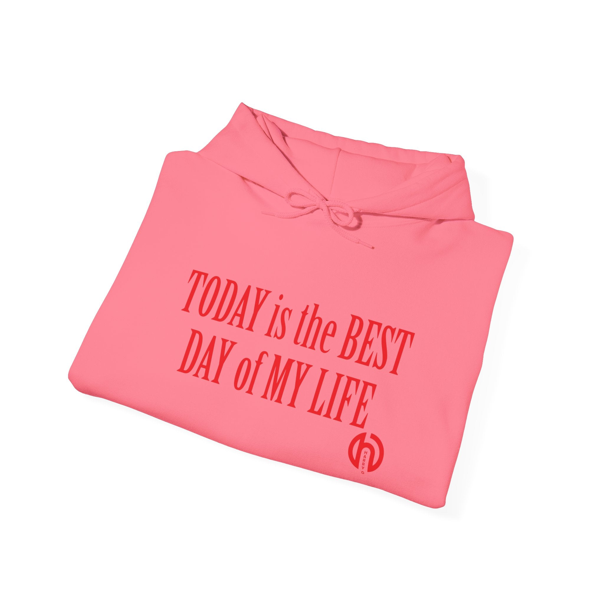 Today Is the Best Day of My Life Hooded Pullover Sweatshirt