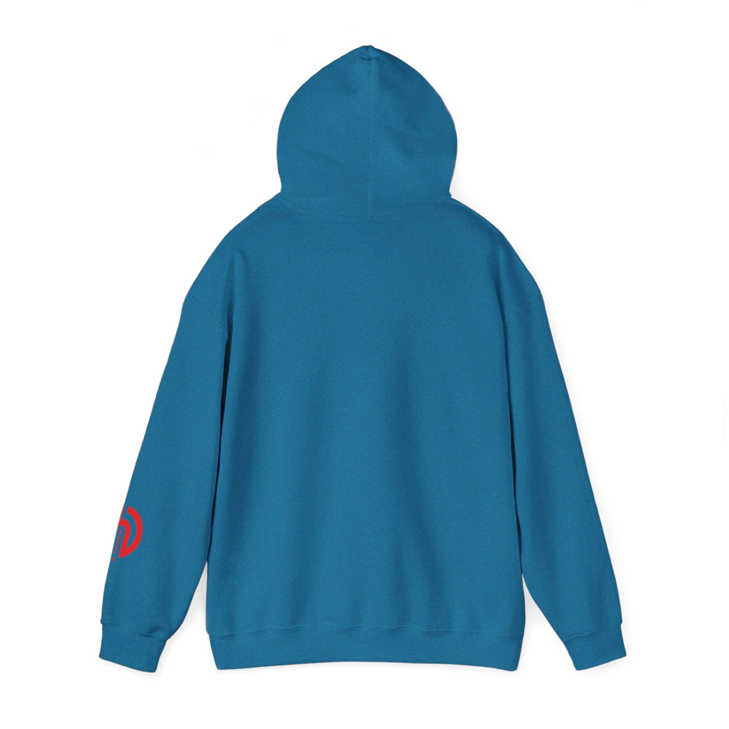 Today Is the Best Day of My Life Hooded Pullover Sweatshirt