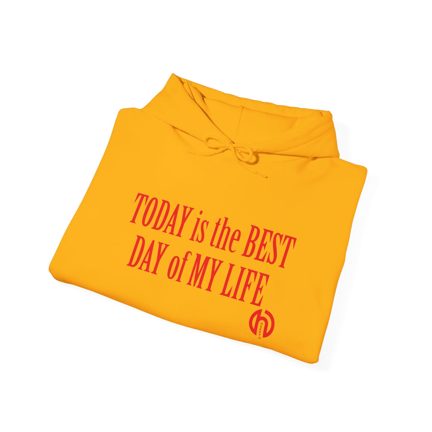Today Is the Best Day of My Life Hooded Pullover Sweatshirt