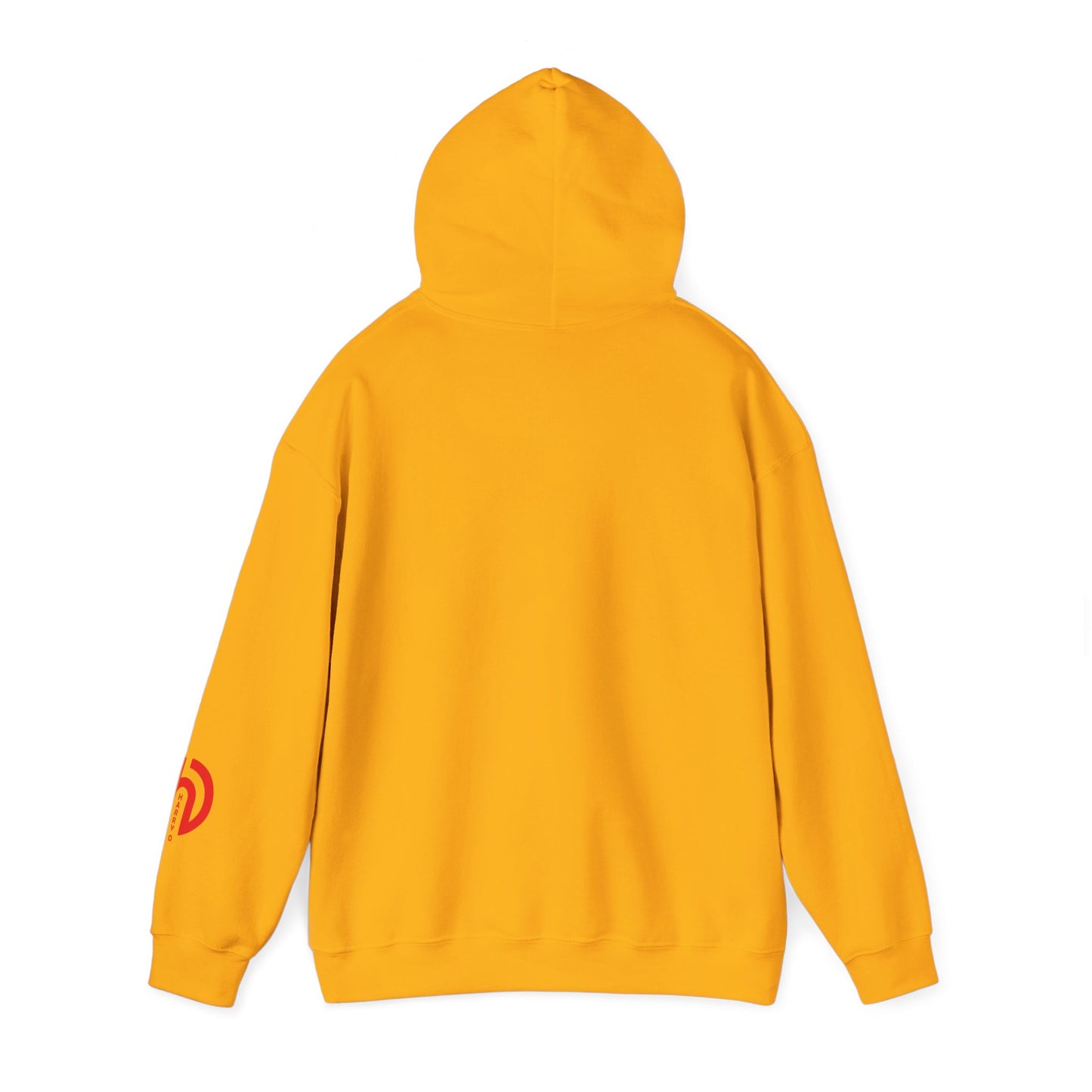 Today Is the Best Day of My Life Hooded Pullover Sweatshirt
