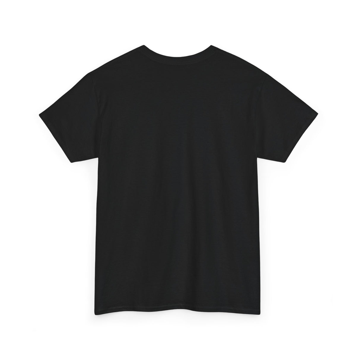Today is the BEST DAY T-Shirt | II