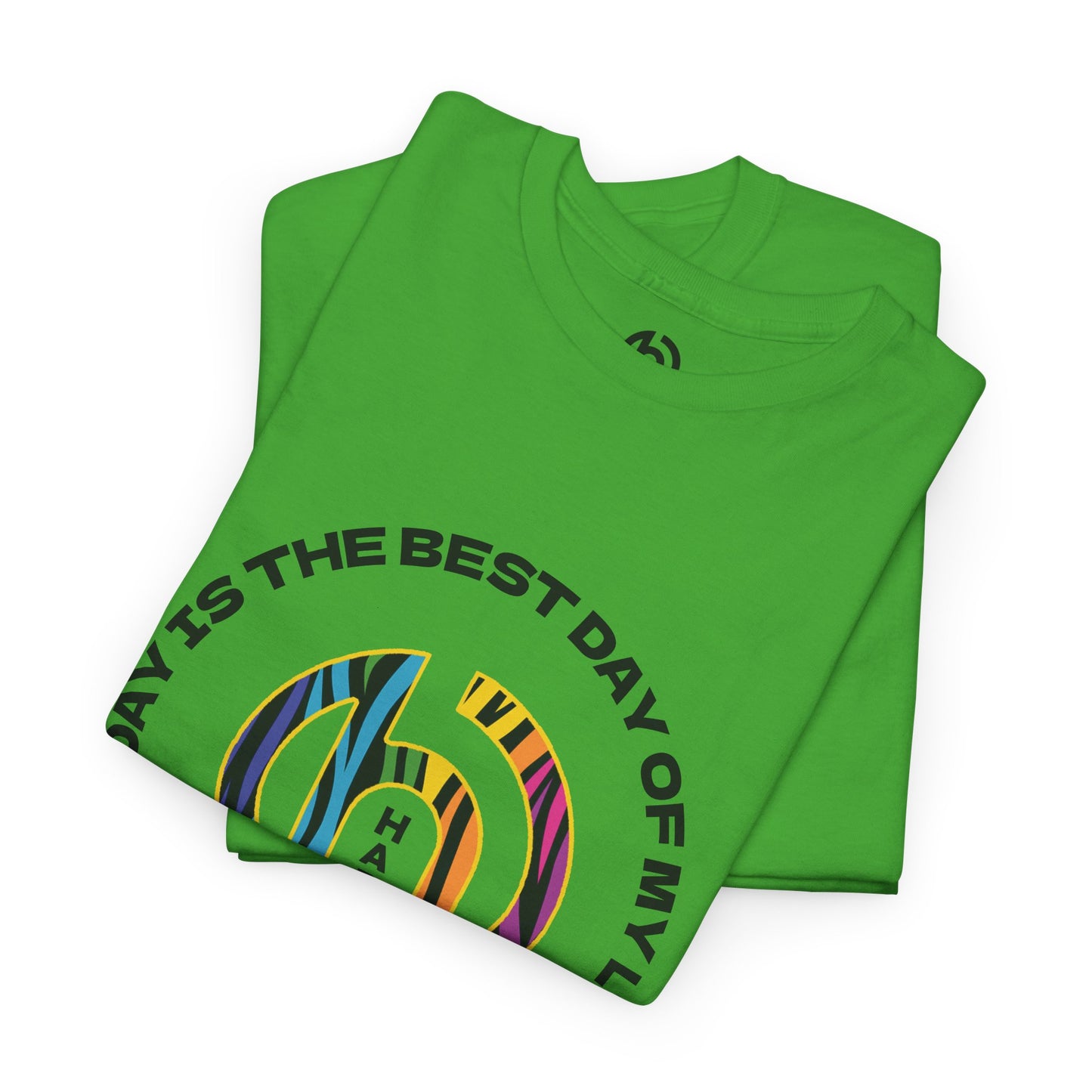 Today is the BEST DAY T-Shirt |